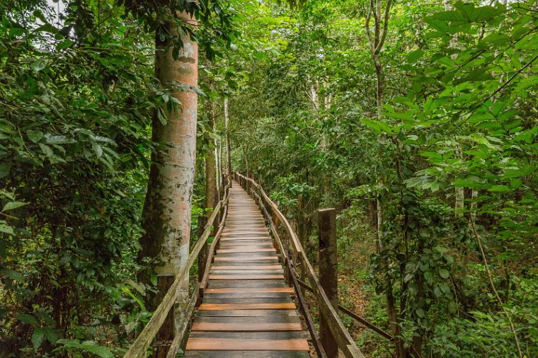 050 Brazilie, Manaus.jpg